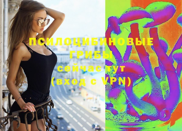 mdpv Верхний Тагил