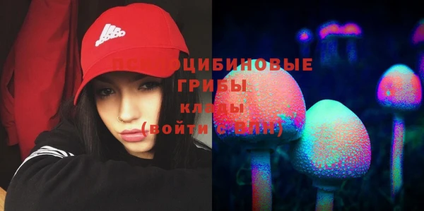 mdpv Верхний Тагил