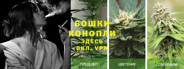 ГАЛЛЮЦИНОГЕННЫЕ ГРИБЫ Бугульма