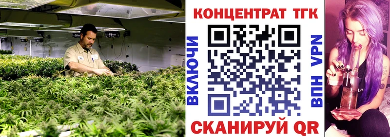 где можно купить Ермолино ТГК концентрат