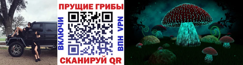 Галлюциногенные грибы мицелий  Ермолино 