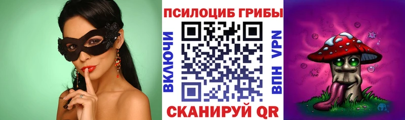 Псилоцибиновые грибы Psilocybe Ермолино